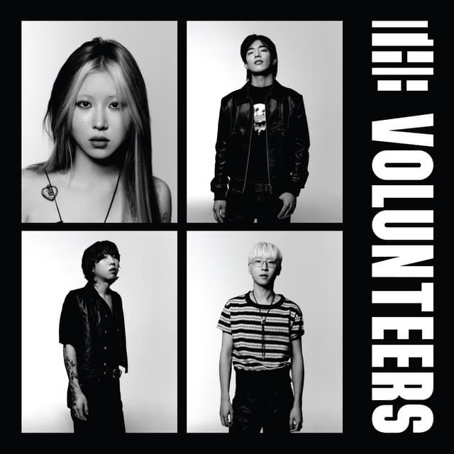 The Volunteers cover art