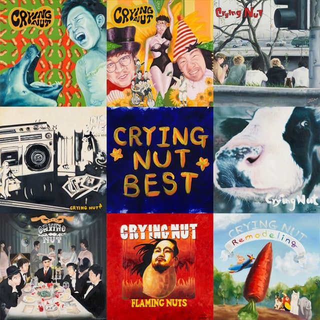 CRYING NUT 25th Anniversary Best Album cover art
