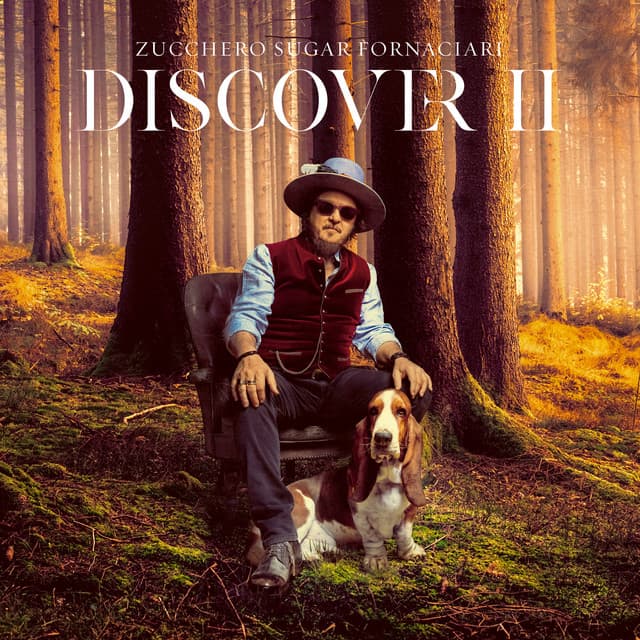 DISCOVER II cover art