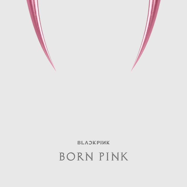 BORN PINK cover art