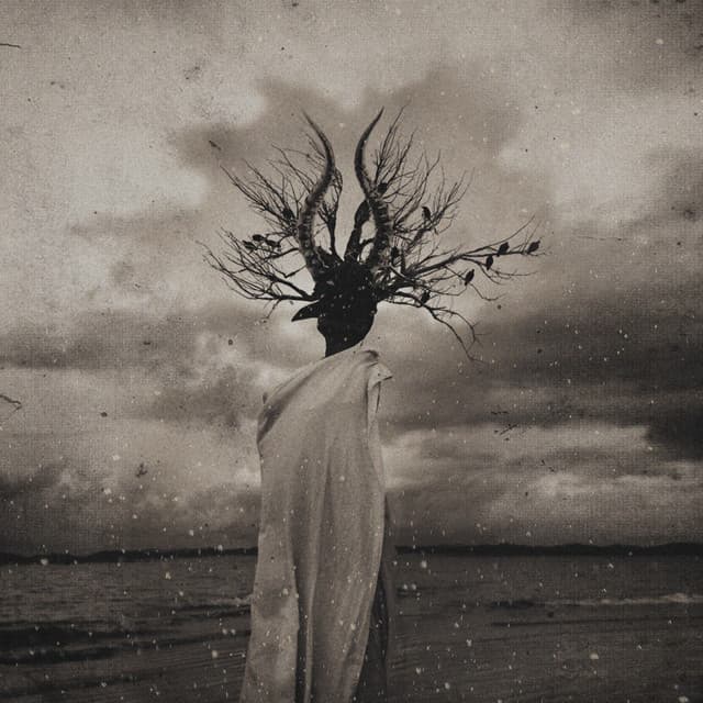 Enlightenment cover art