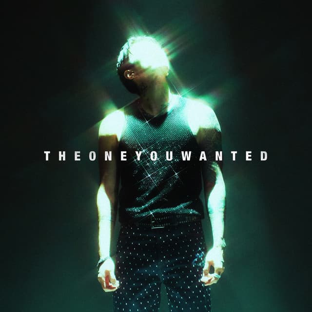 THE ONE YOU WANTED cover art