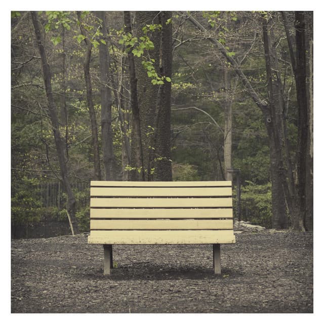 The Hands That Thieve cover art