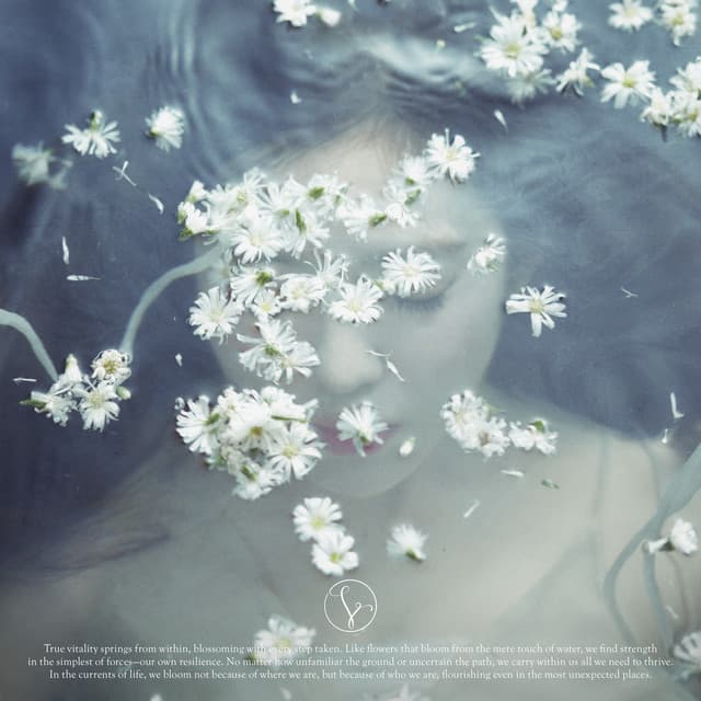Like A Flower - The 1st Mini Album cover art
