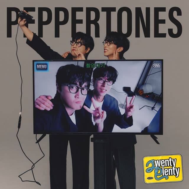 Twenty Plenty cover art